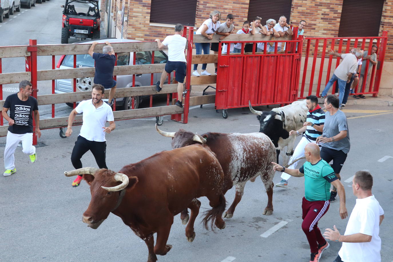 Penúltimo día de fiestas de Alfaro