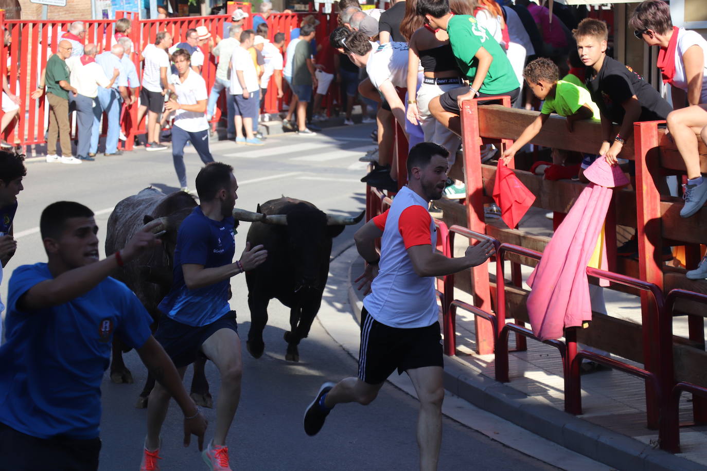 Penúltimo día de fiestas de Alfaro