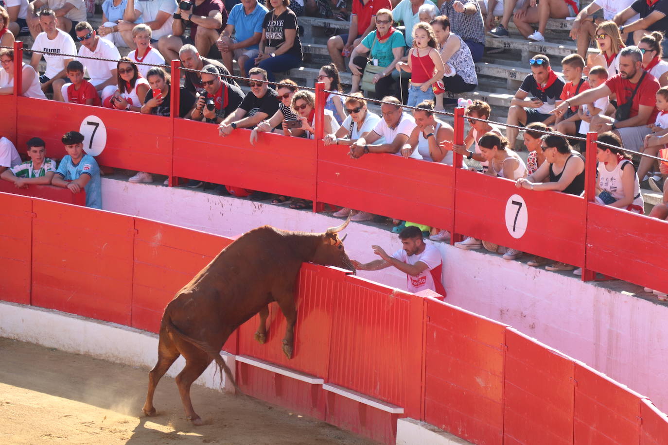 Penúltimo día de fiestas de Alfaro