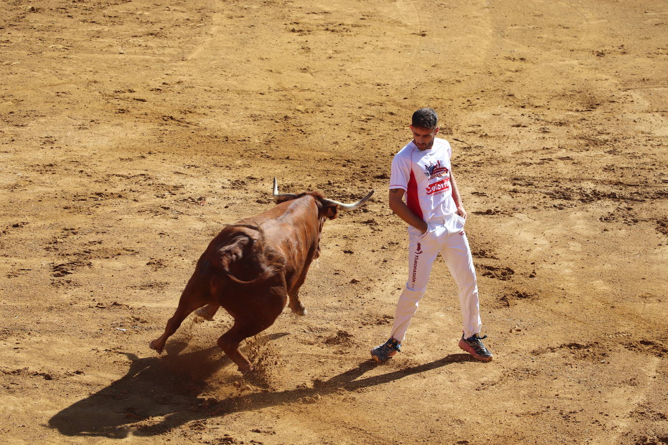 Penúltimo día de fiestas de Alfaro