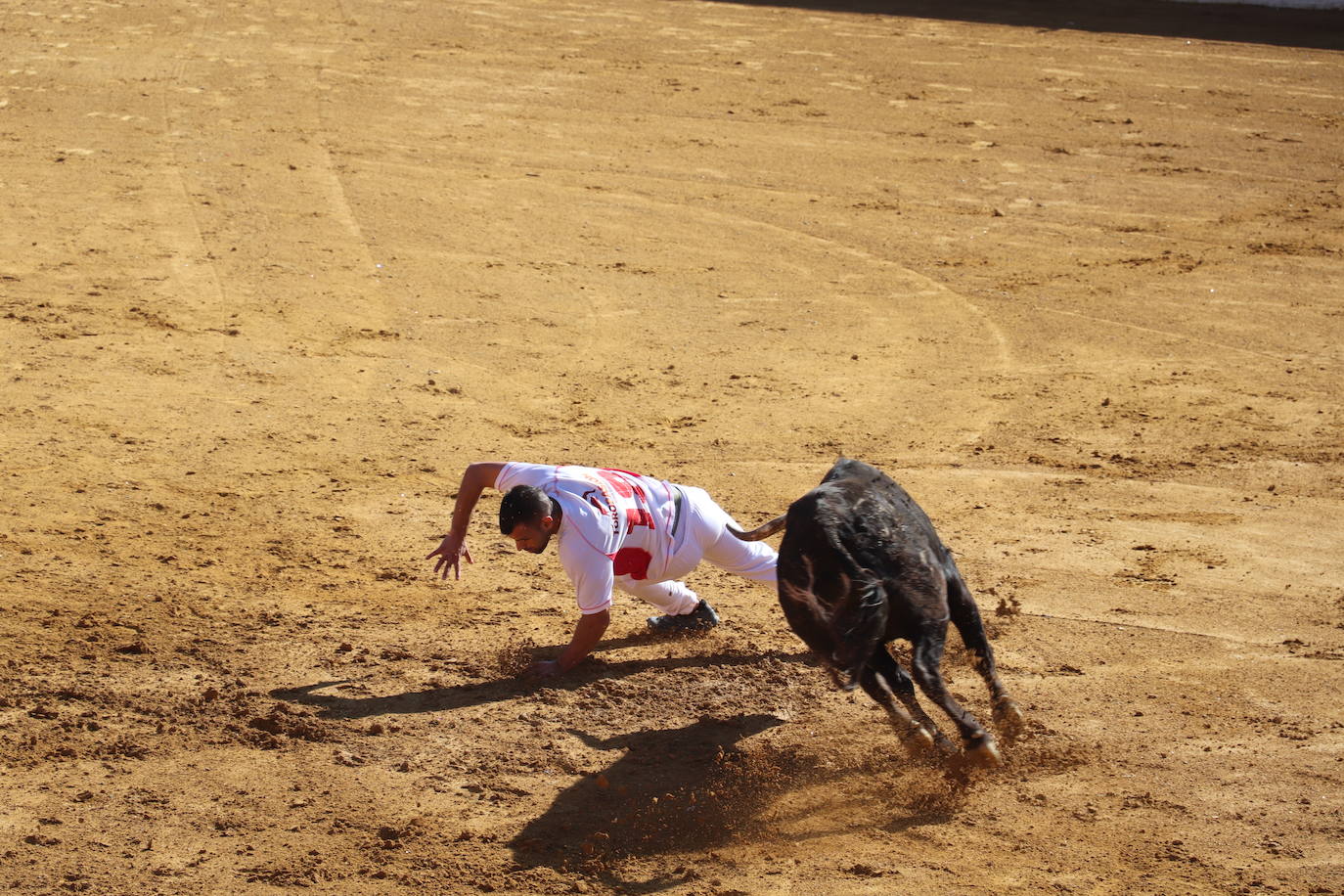 Penúltimo día de fiestas de Alfaro