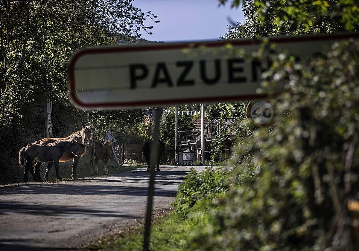 Un ciclista de 47 años, rescatado y trasladado al Hospital San Pedro tras caerse en Pazuengos