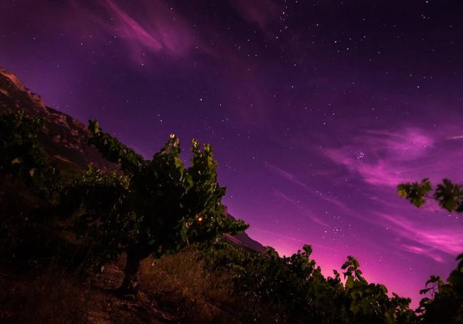 Imagen del cielo desde una viña.