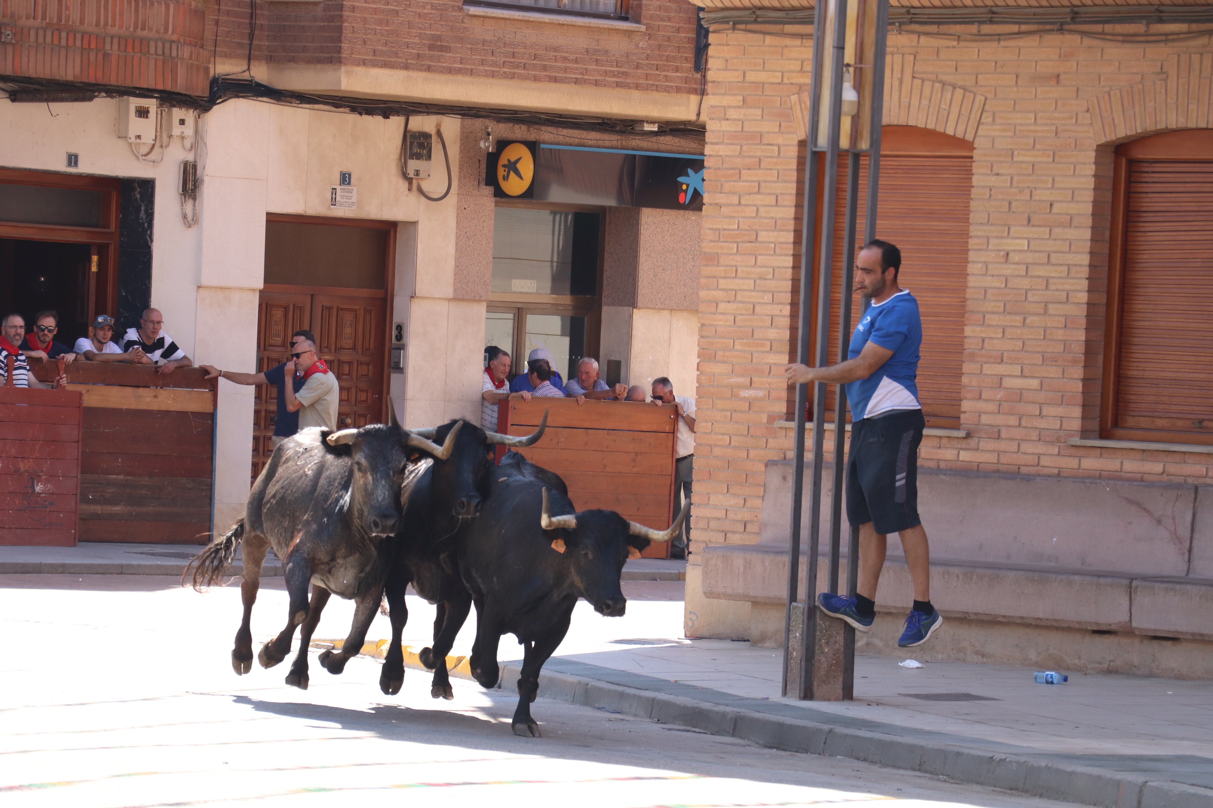 Aldeanueva de Ebro en fiestas