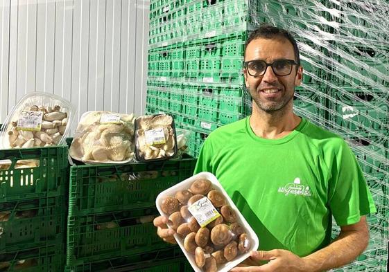 César Fernández Guridi sujeta una bandeja de shiitake, una de las tres variedades de seta que producen en su explotación familiar en Pradejón.