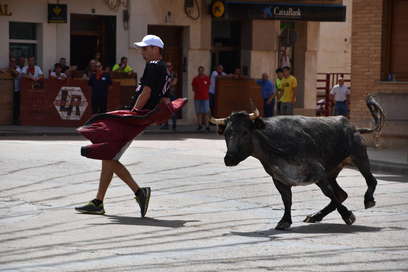 Encierros en las fiestas de Aldeanueva de Ebro