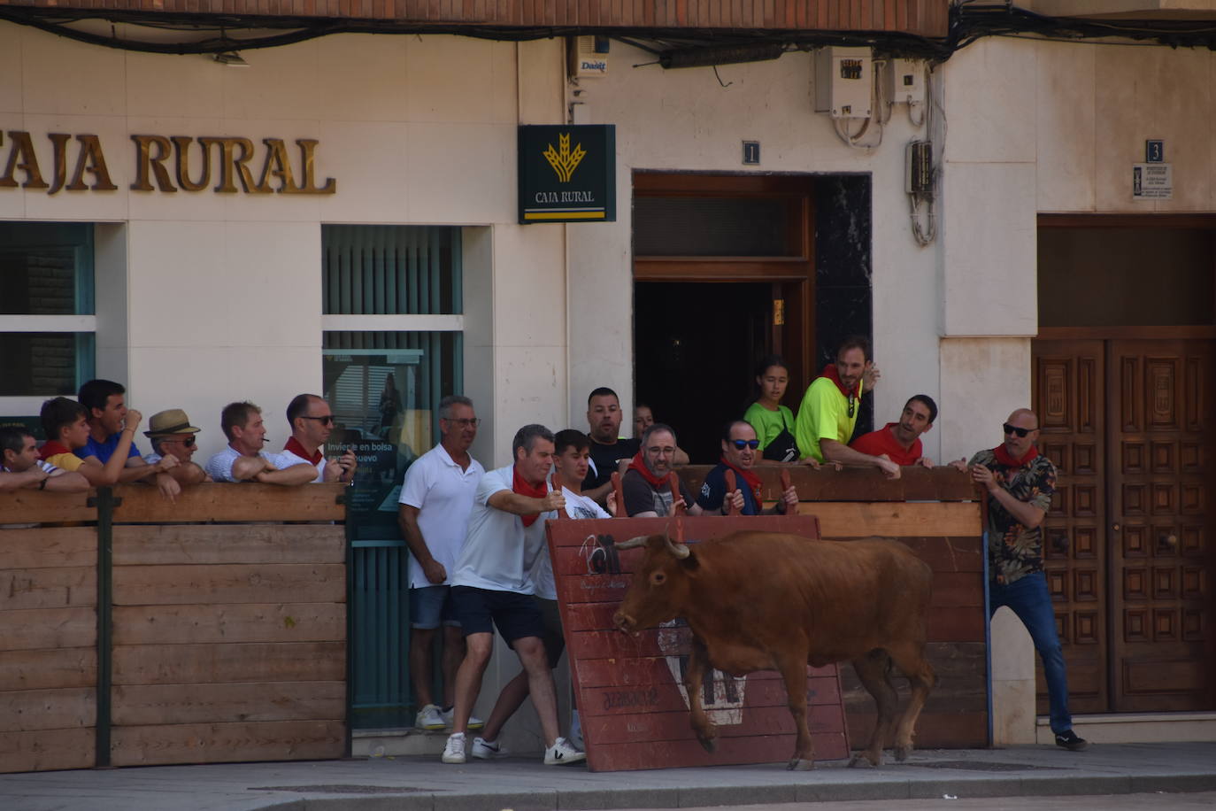 Encierros en las fiestas de Aldeanueva de Ebro