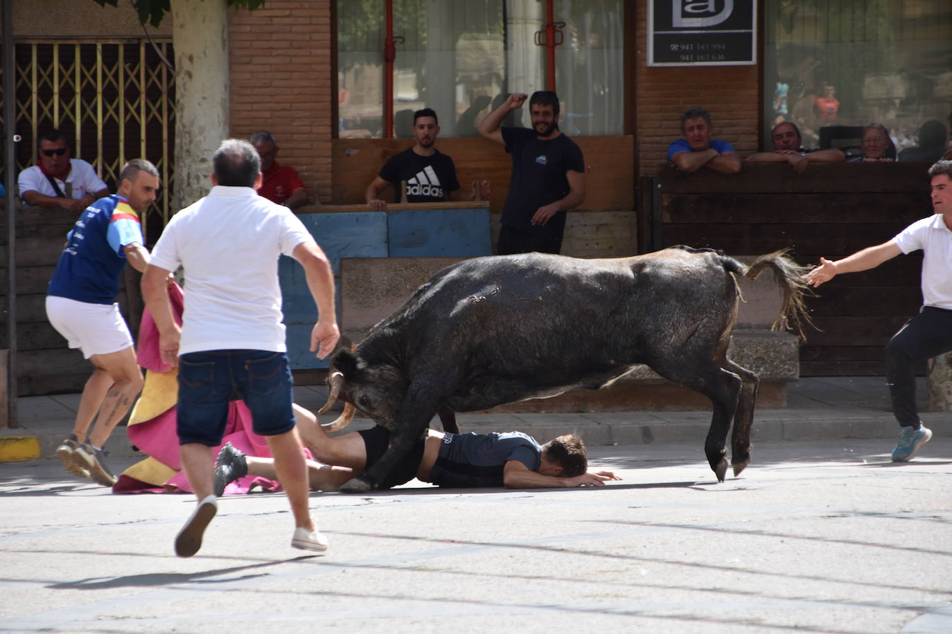 Encierros en las fiestas de Aldeanueva de Ebro