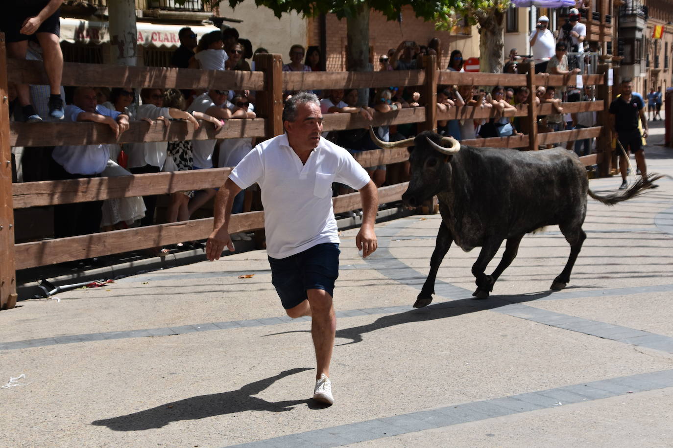 Encierros en las fiestas de Aldeanueva de Ebro