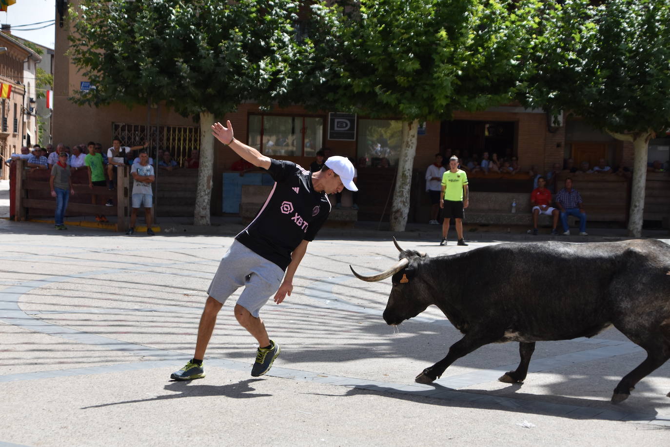 Encierros en las fiestas de Aldeanueva de Ebro