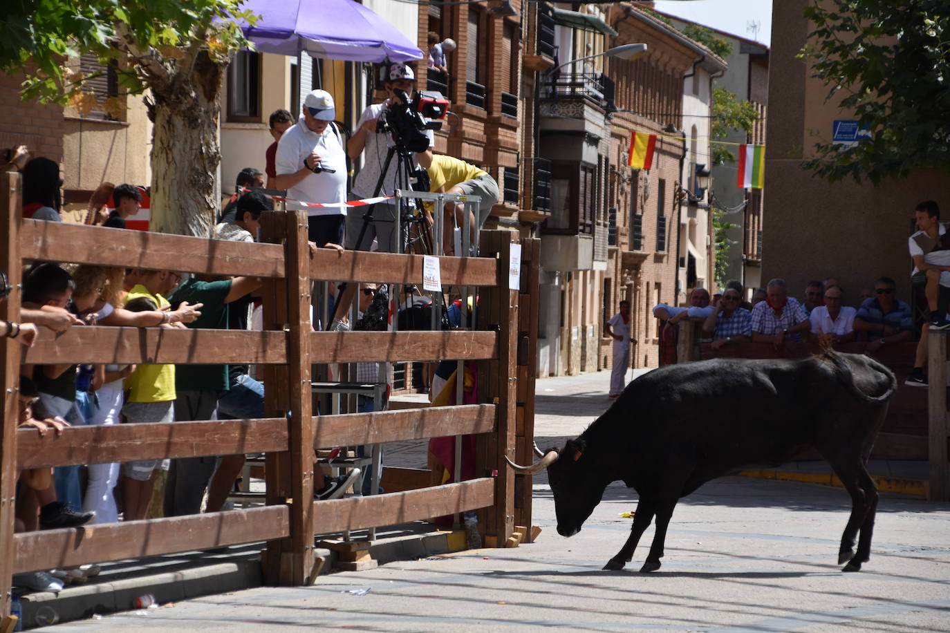 Encierros en las fiestas de Aldeanueva de Ebro