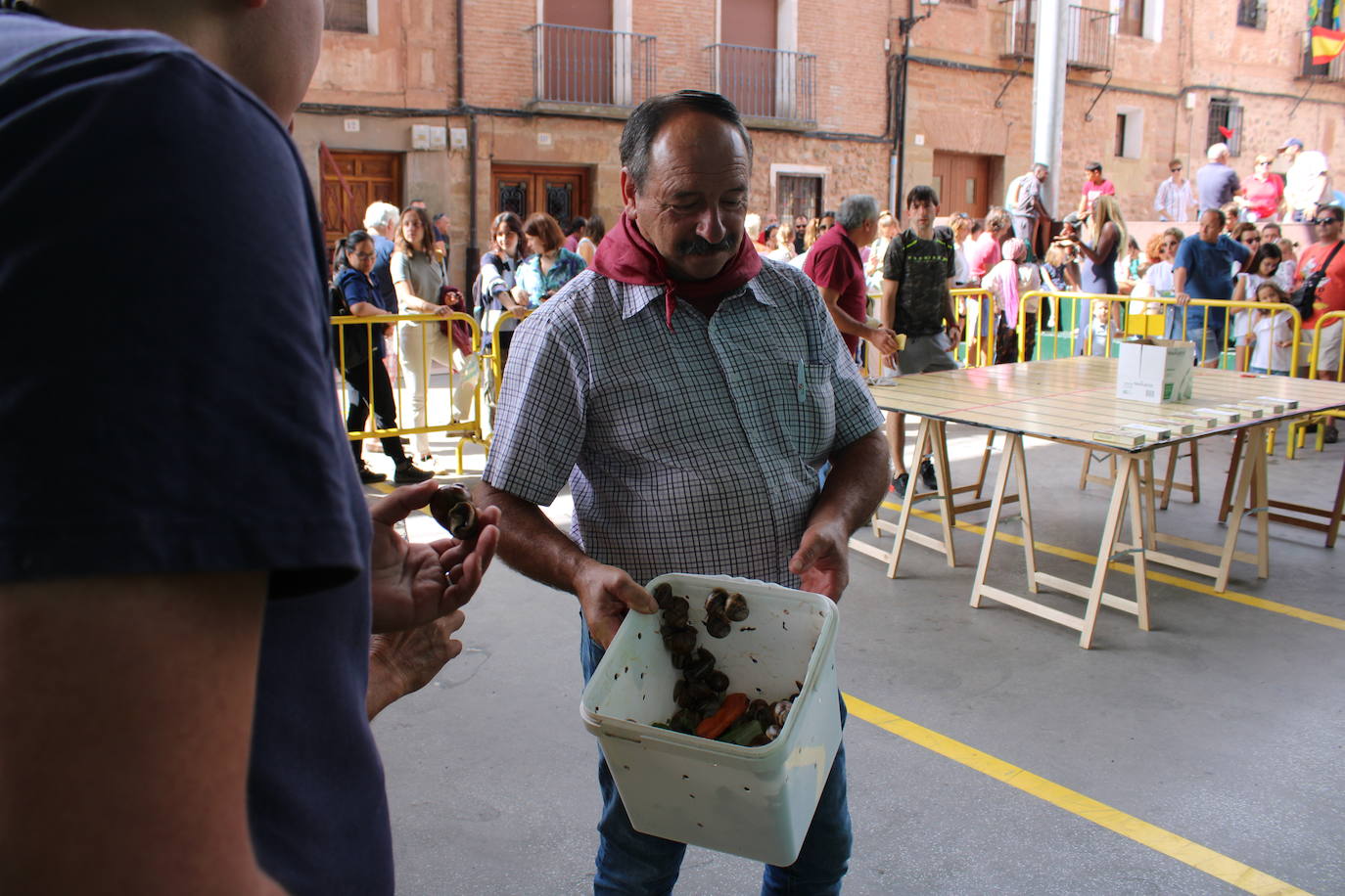 Arrastre de Caracoles de Tricio