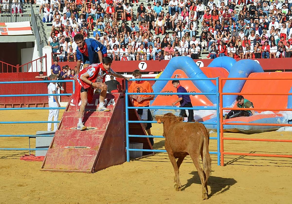 Dos participantes en el Gran Prix en una de las pruebas con vaquilla