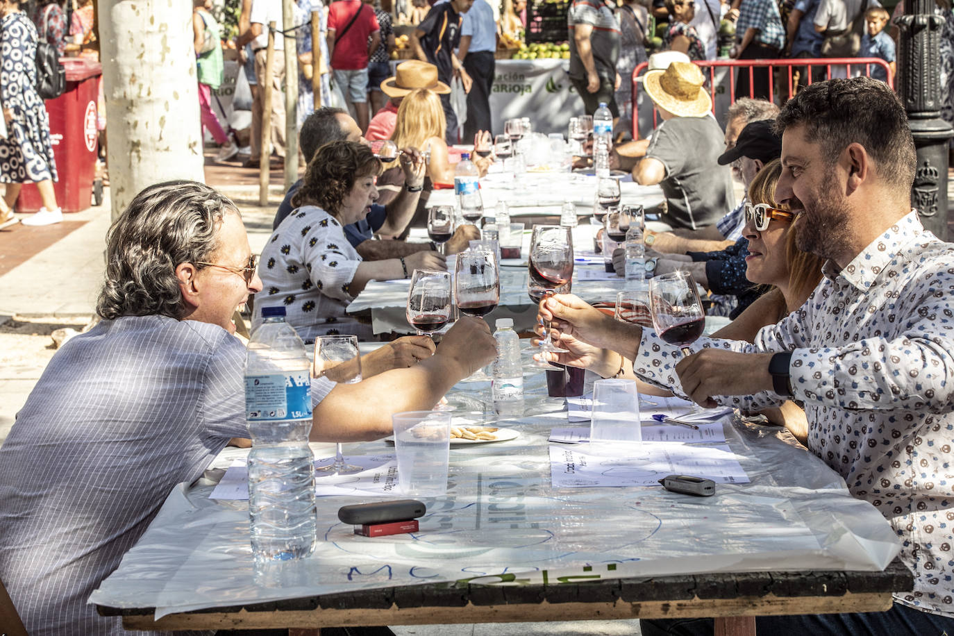 El Espolón acogió el 54 Concurso Agrícola de La Rioja