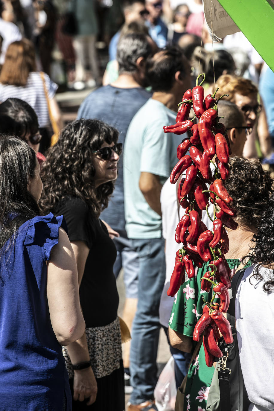 El Espolón acogió el 54 Concurso Agrícola de La Rioja