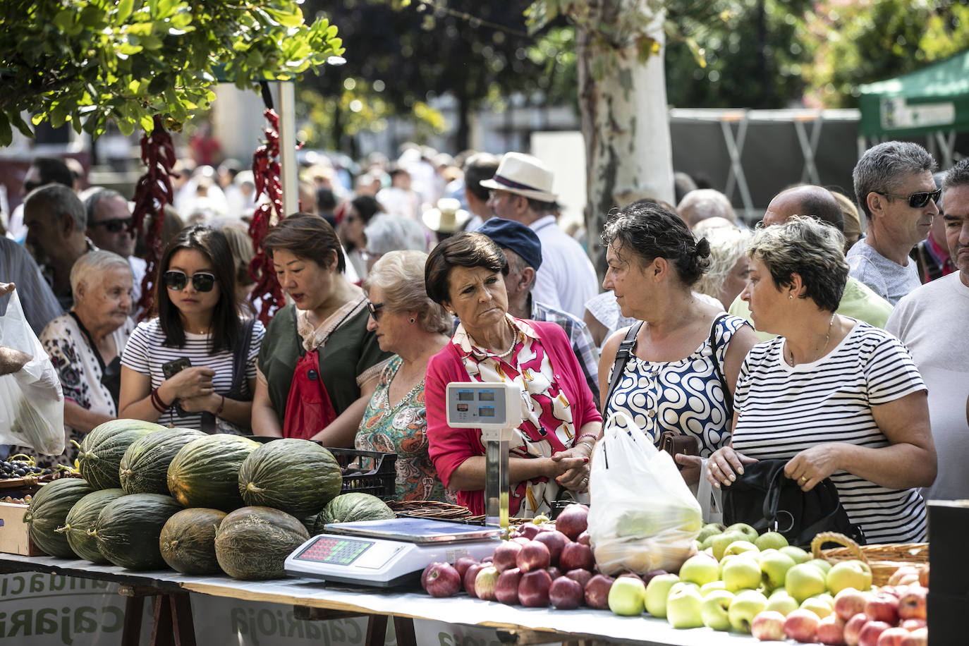 El Espolón acogió el 54 Concurso Agrícola de La Rioja