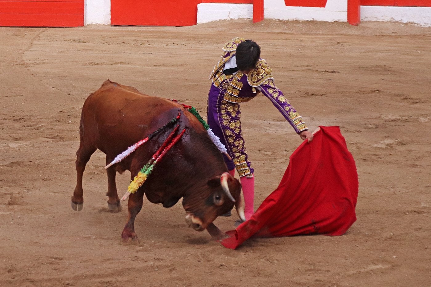 Alberto Donaire, en Aldeanueva.
