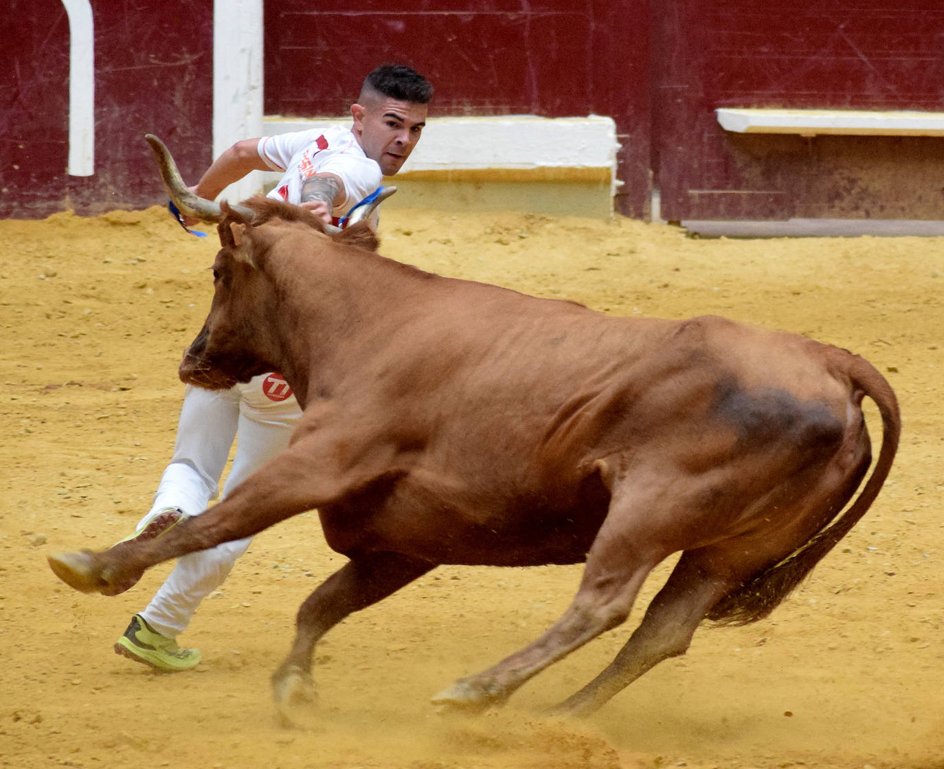 Las vaquillas, fieles a la cita de San Mateo