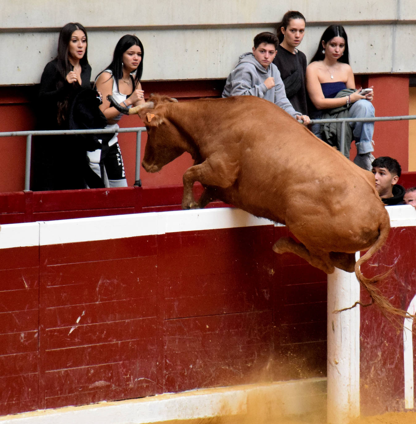 Las vaquillas, fieles a la cita de San Mateo
