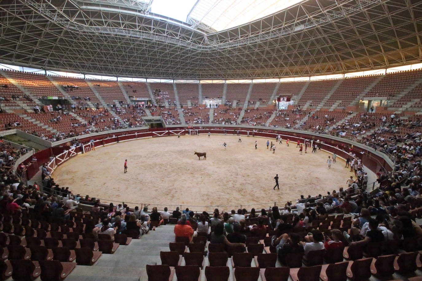 La cantera riojana se da cita en la plaza de toros de La Ribera