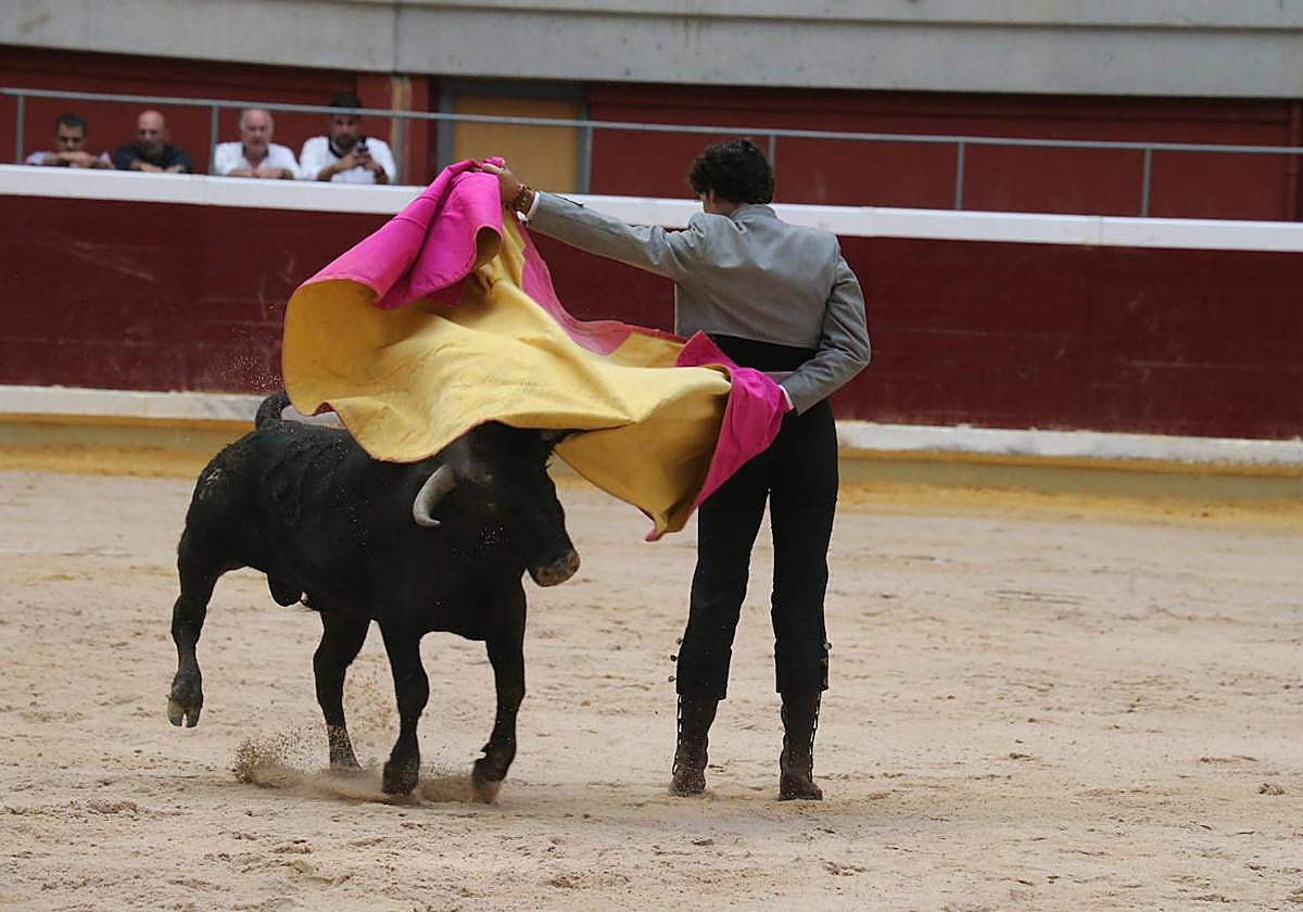 La cantera riojana se da cita en la plaza de toros de La Ribera