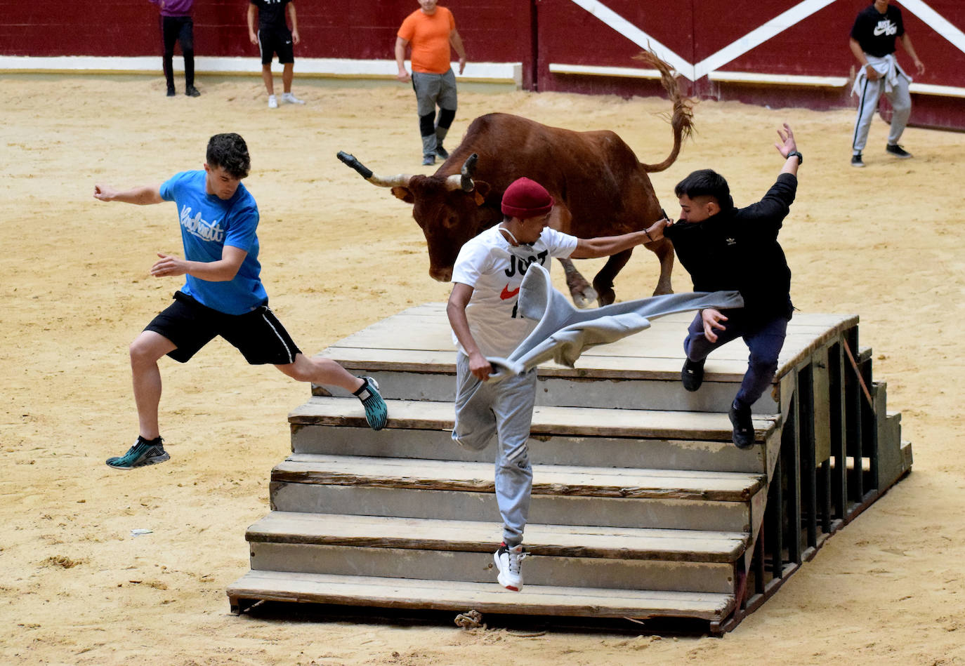 Las vaquillas del día de San Mateo