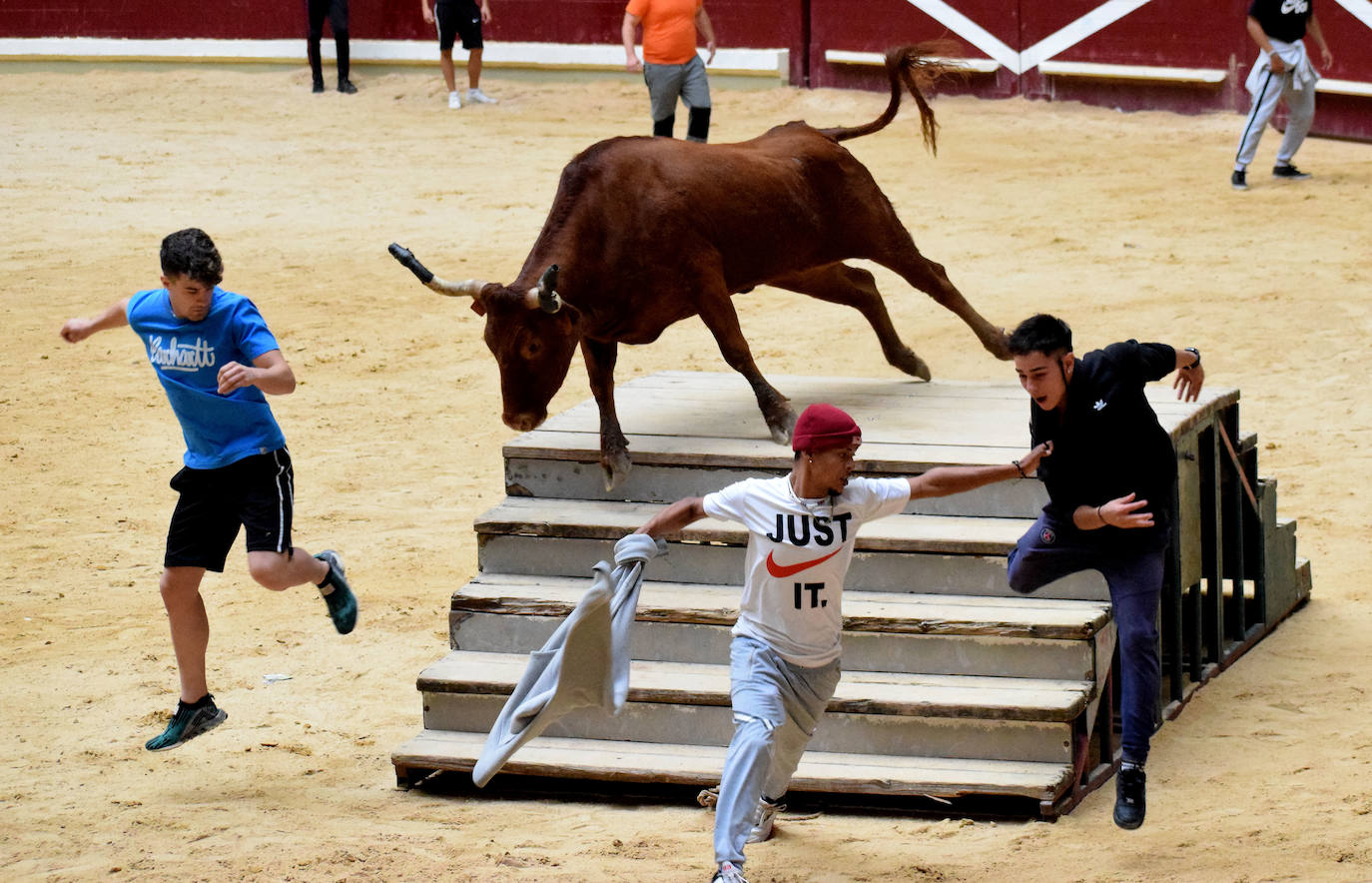 Las vaquillas del día de San Mateo