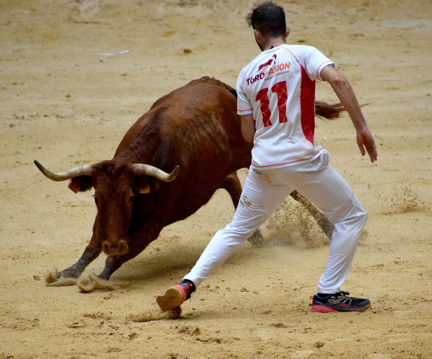 Las vaquillas del día de San Mateo