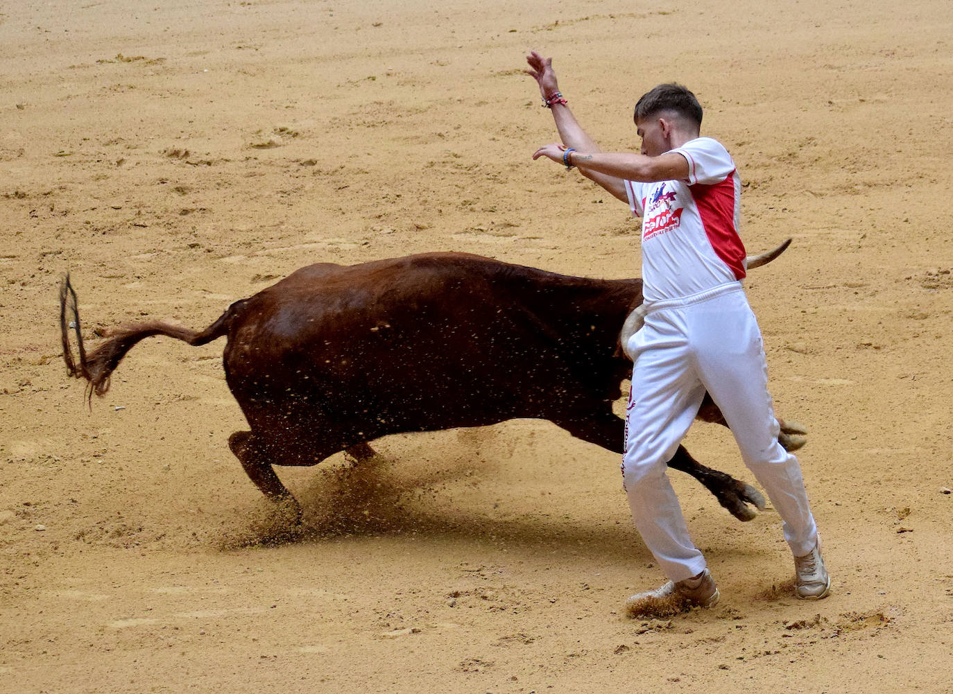 Las vaquillas del día de San Mateo