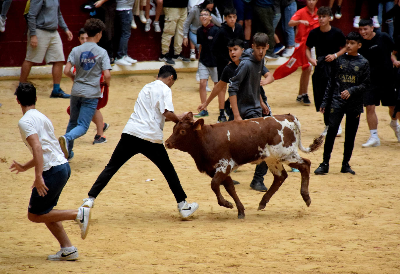 Las vaquillas del día de San Mateo