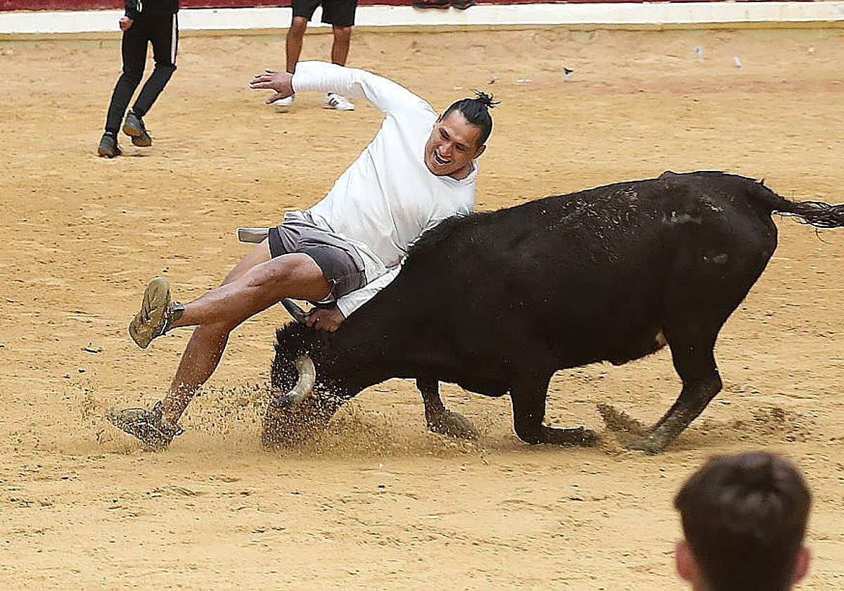 Revolcón con la primera vaquilla.