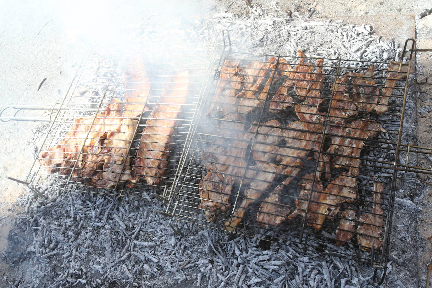 La exaltación de chuletillas, en imágenes