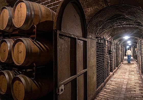 La bodega cuenta con 800 metros de calados subterráneos.