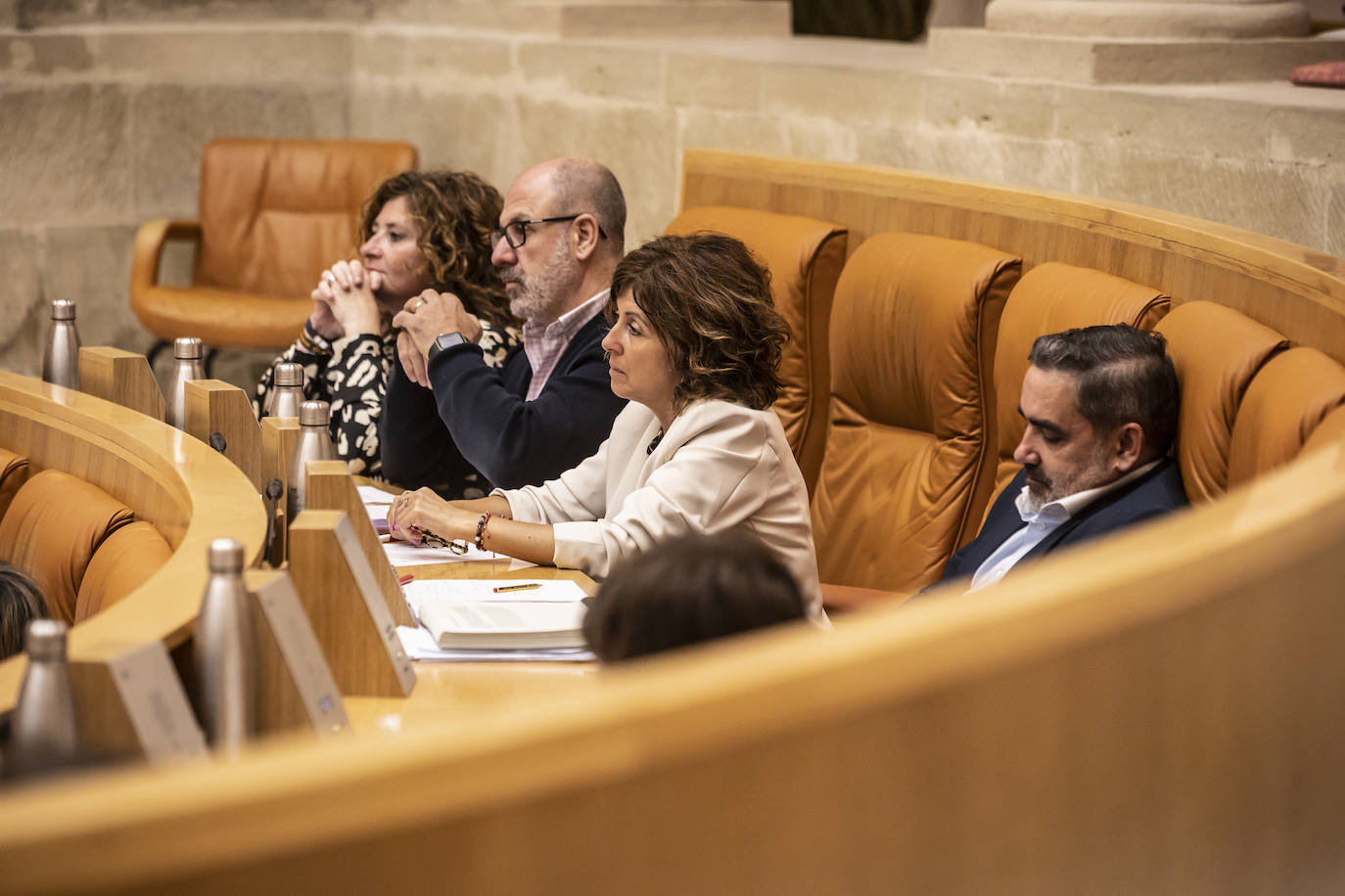 El pleno del Parlamento de La Rioja en imágenes