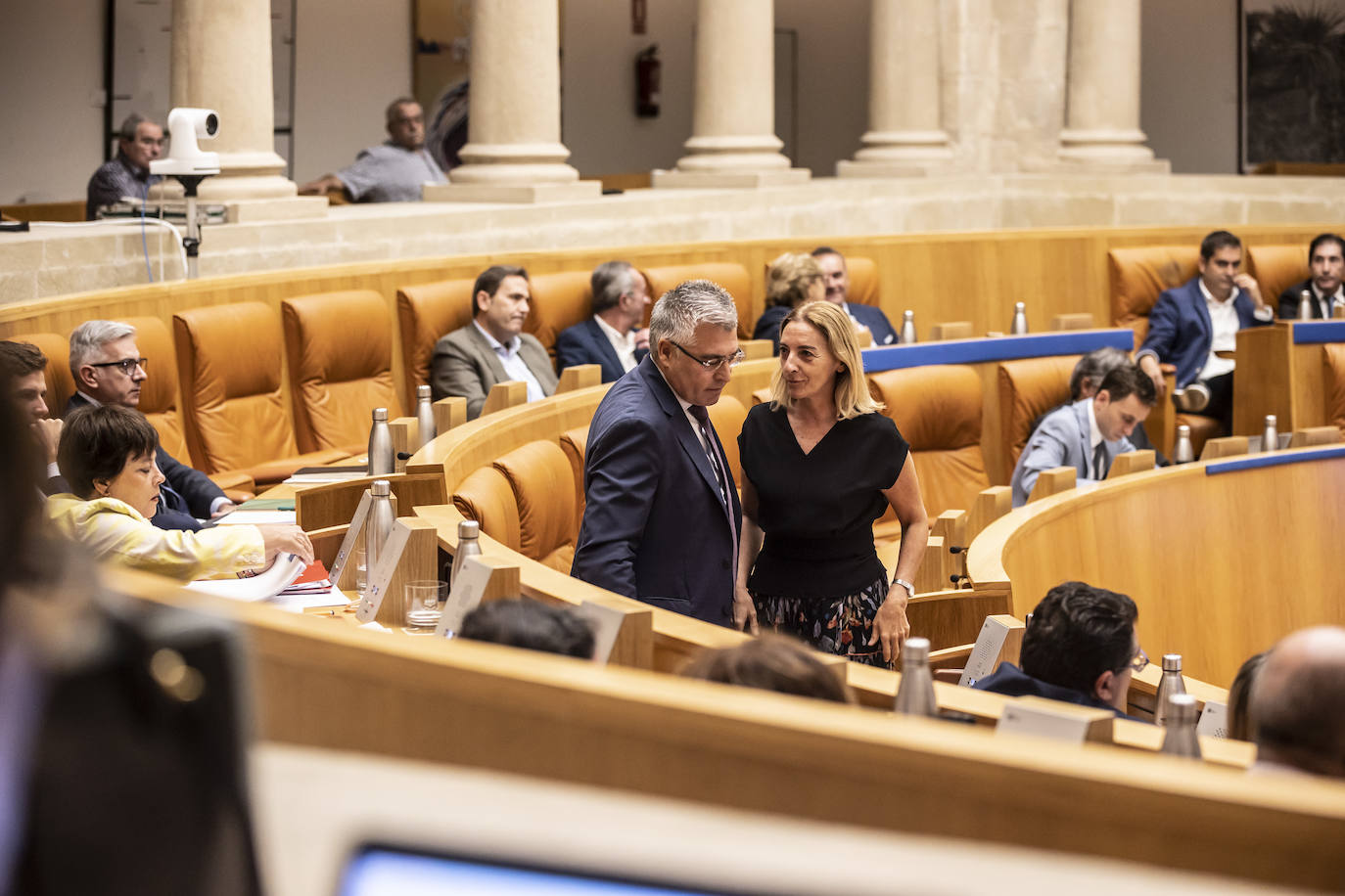 El pleno del Parlamento de La Rioja en imágenes
