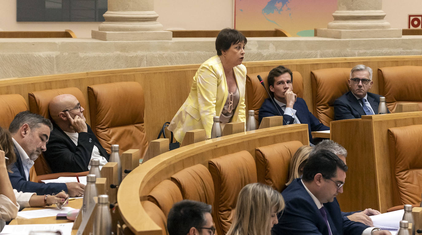El pleno del Parlamento de La Rioja en imágenes