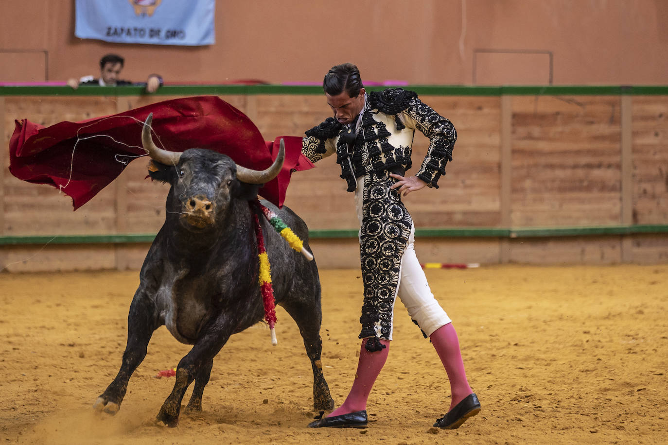 Así ha sido la novillada de toros en Arnedo