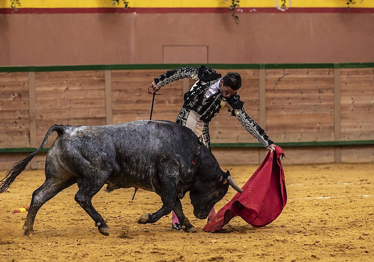 Así ha sido la novillada de toros en Arnedo