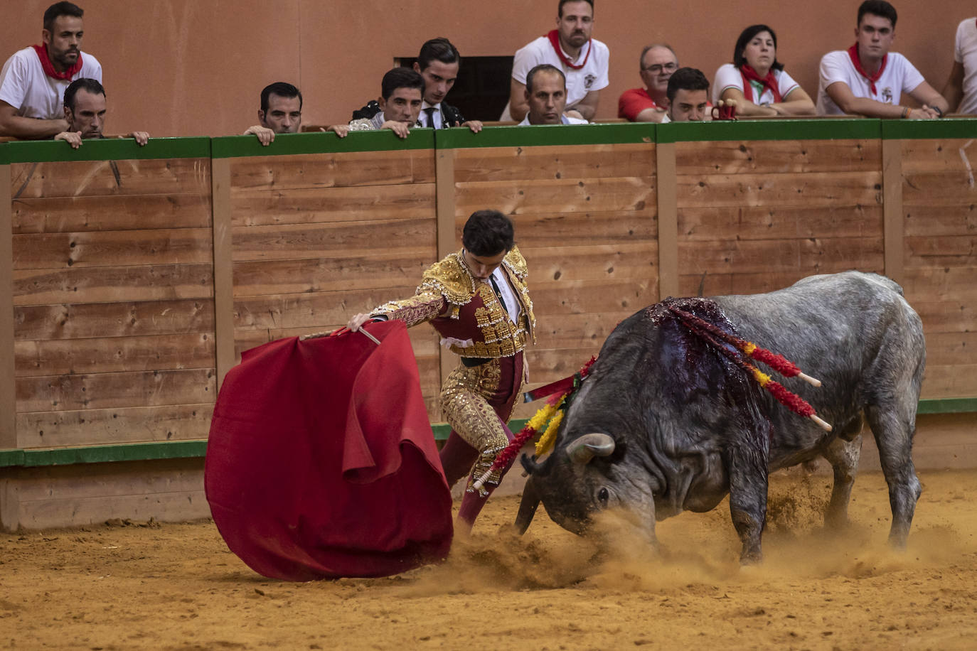 Así ha sido la novillada de toros en Arnedo