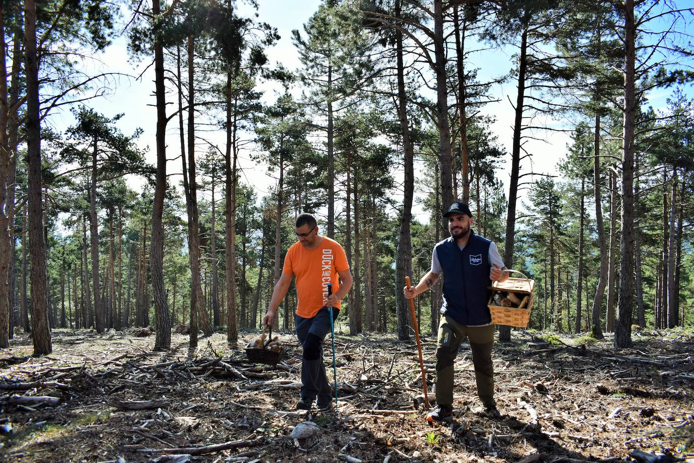 Luis Cid y José Julián Cabezón regresan al coche tras la recolecta de boletus y níscalos.