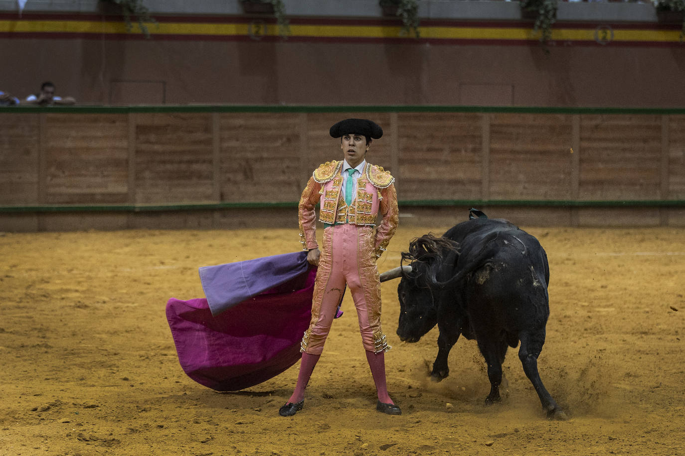 Sergio Rodríguez, Nek Romero y Sergio Sánchez, última novillada del Zapato de Oro de Arnedo