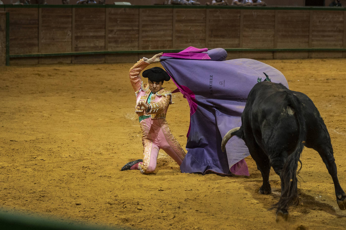 Sergio Rodríguez, Nek Romero y Sergio Sánchez, última novillada del Zapato de Oro de Arnedo