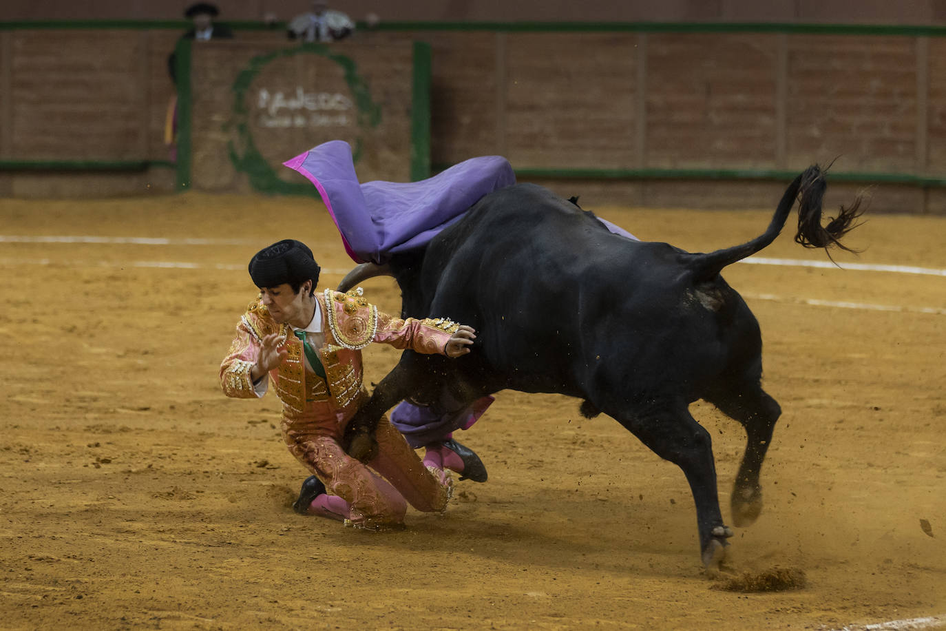 Sergio Rodríguez, Nek Romero y Sergio Sánchez, última novillada del Zapato de Oro de Arnedo