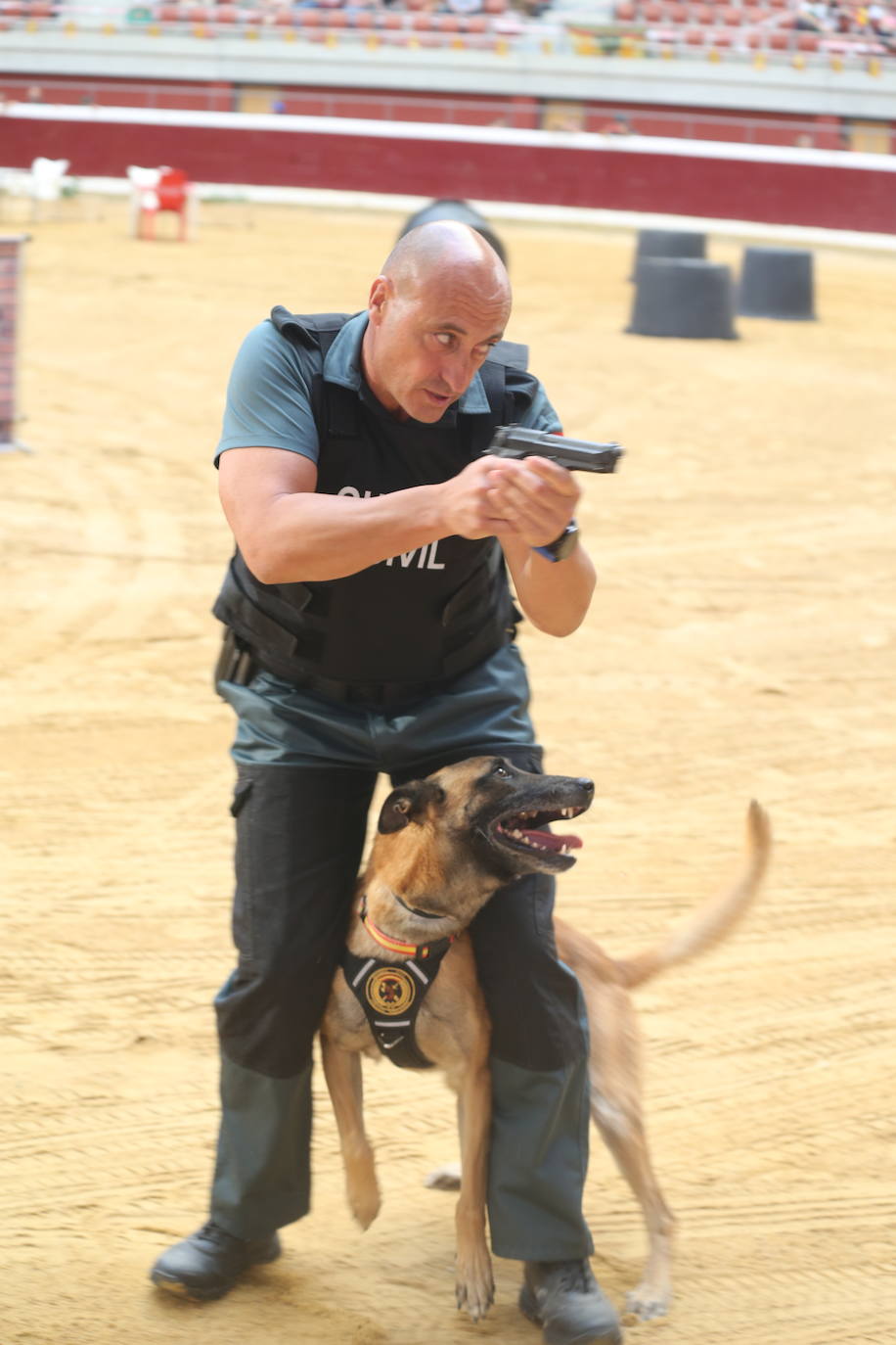 Exhibición de las especialidades de la Guardia Civil en la plaza de toros