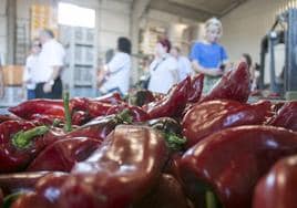 La fiesta del pimiento en imágenes