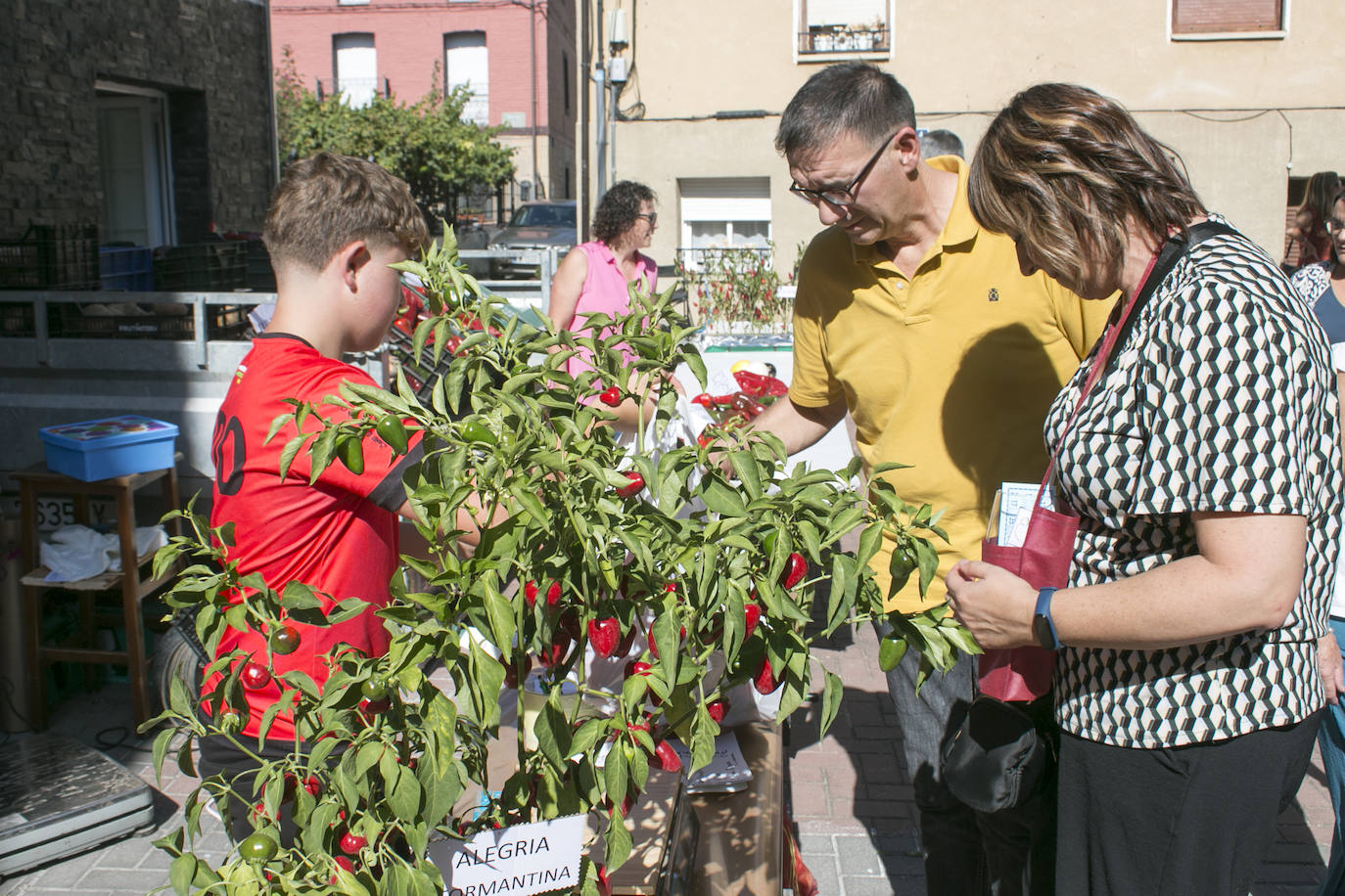 La fiesta del pimiento en imágenes