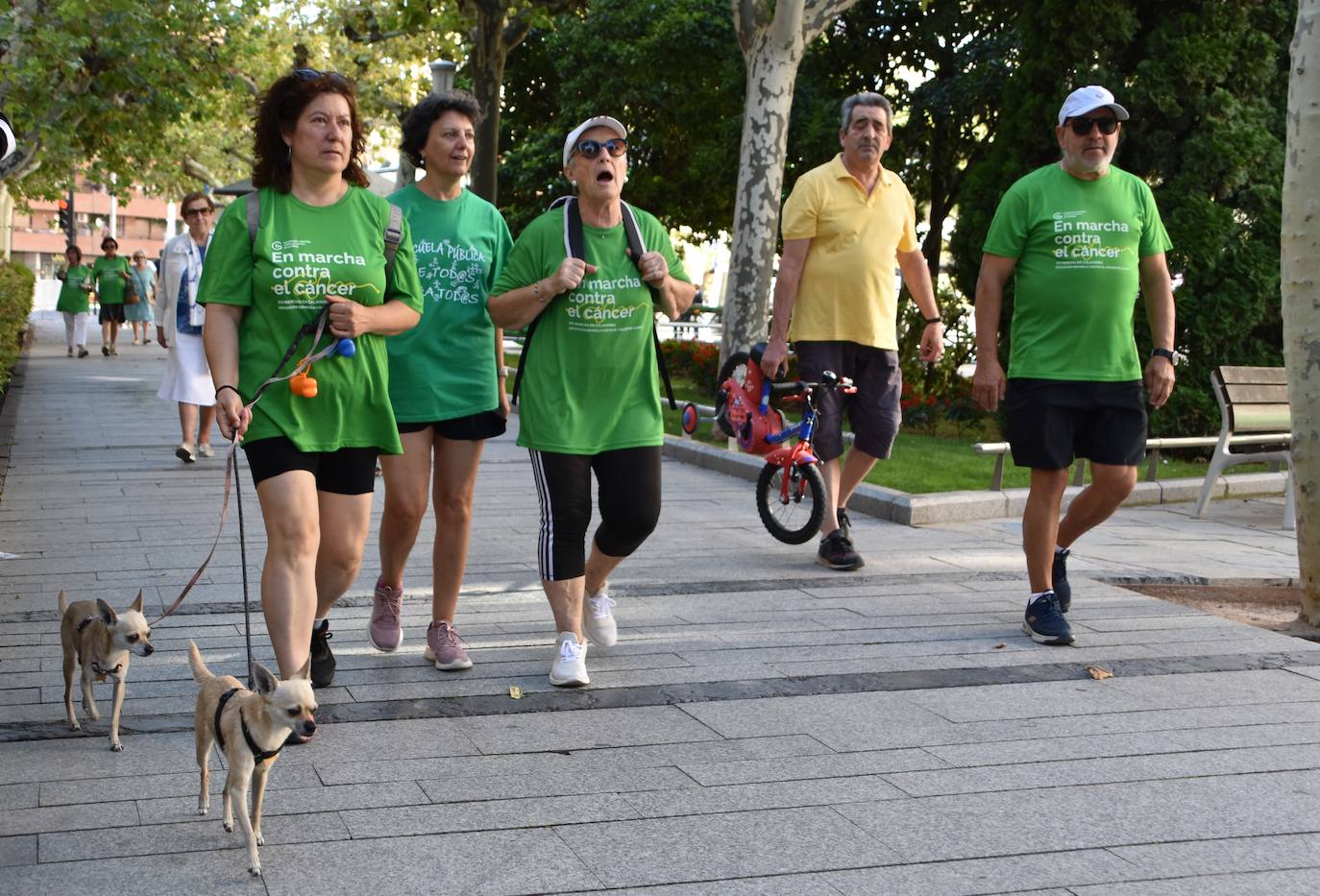 Imágenes de la marcha contra el cáncer