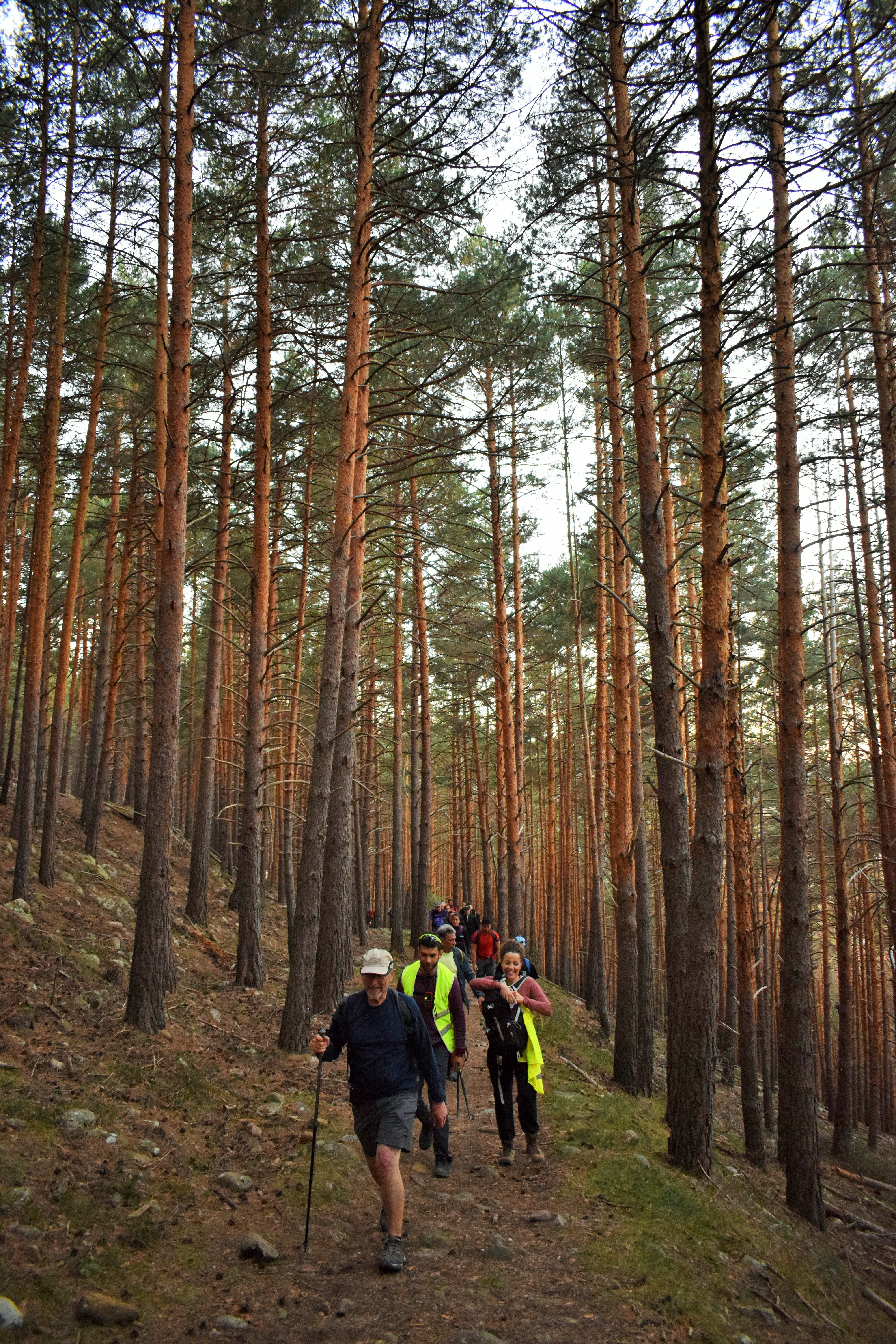 Instantes de la marcha de Hoyos