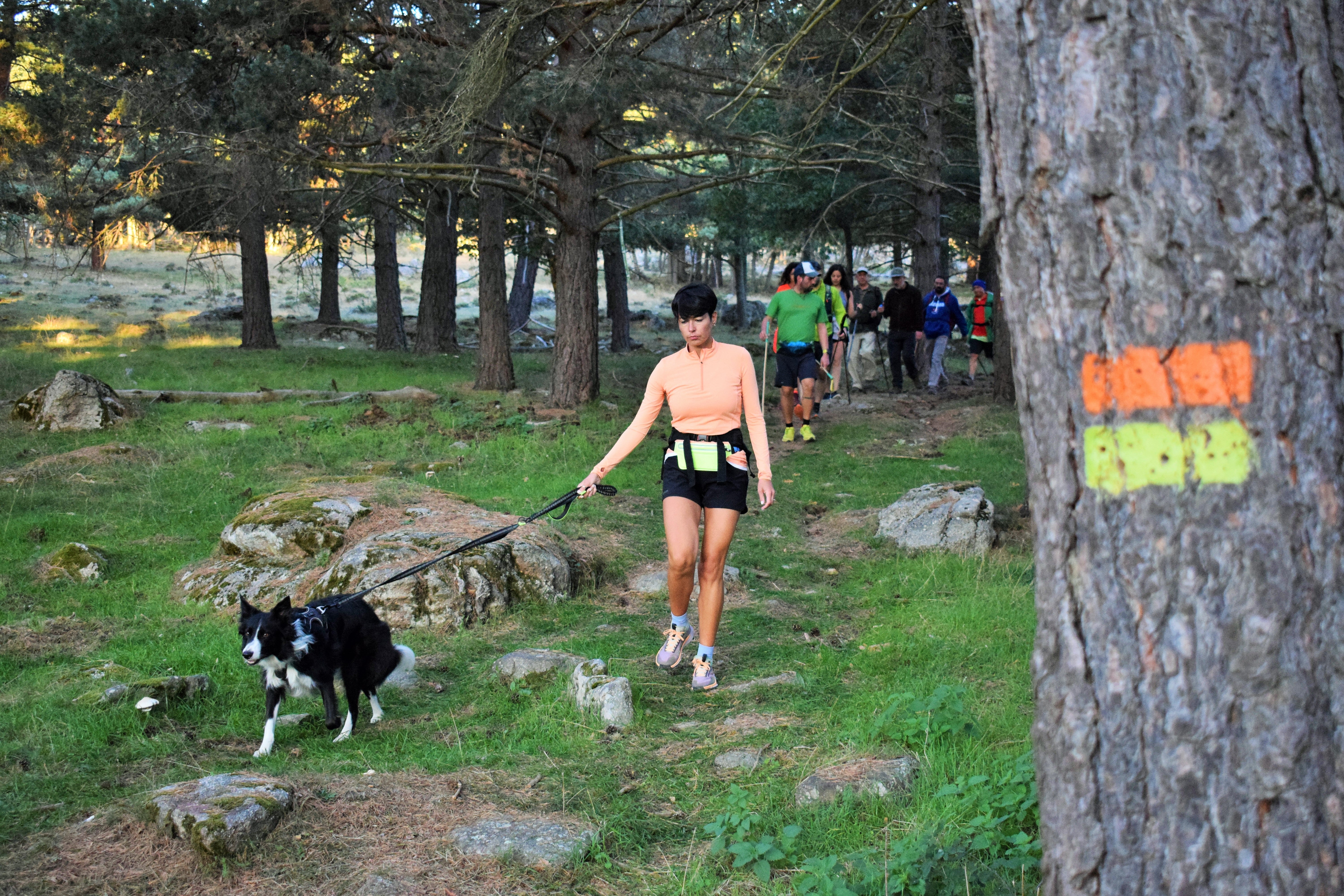 Instantes de la marcha de Hoyos