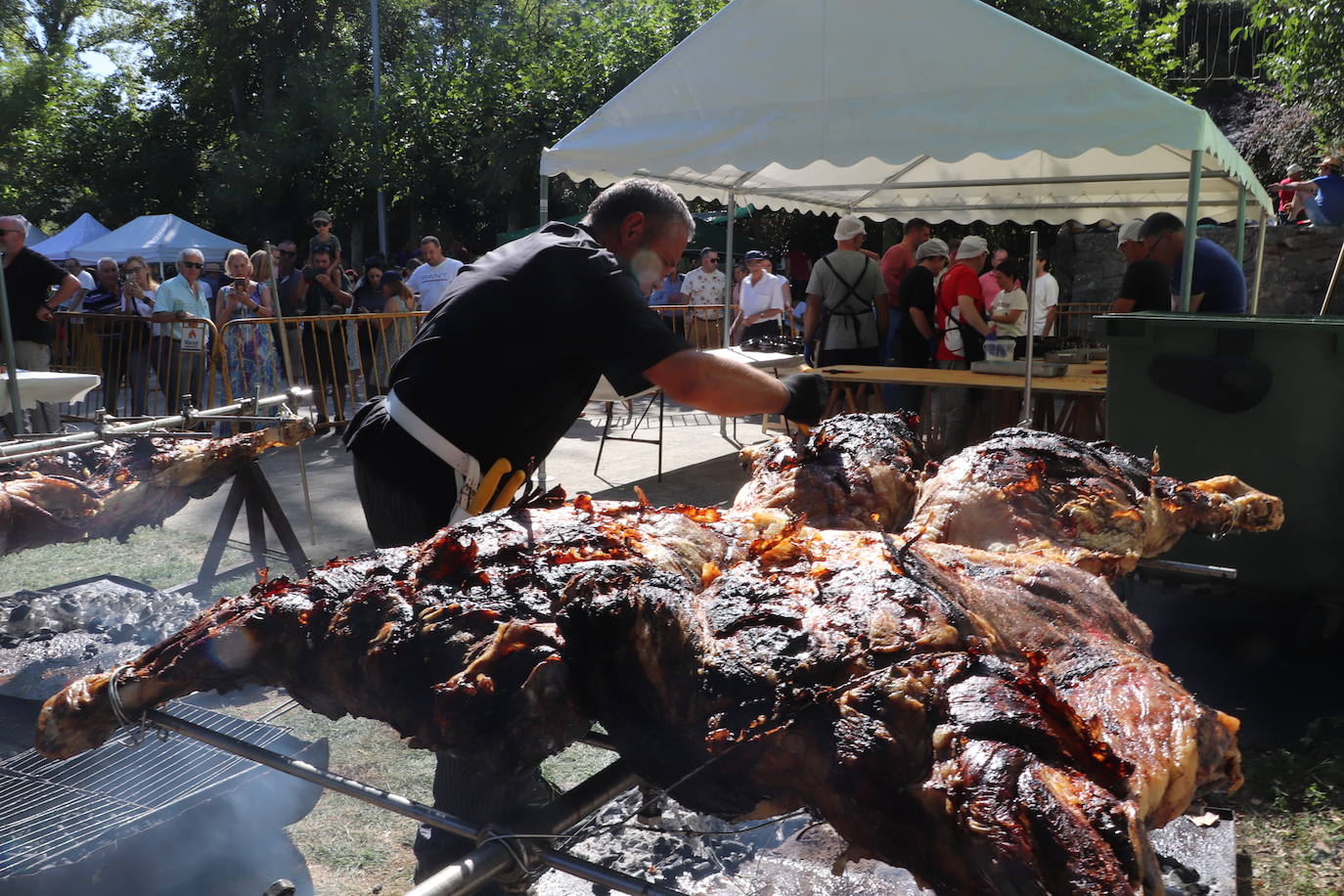 Fotos de la Jornada de la Ternera Asada